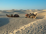 Tunisko - v království pouště